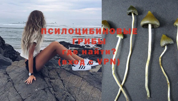 марки nbome Алексеевка